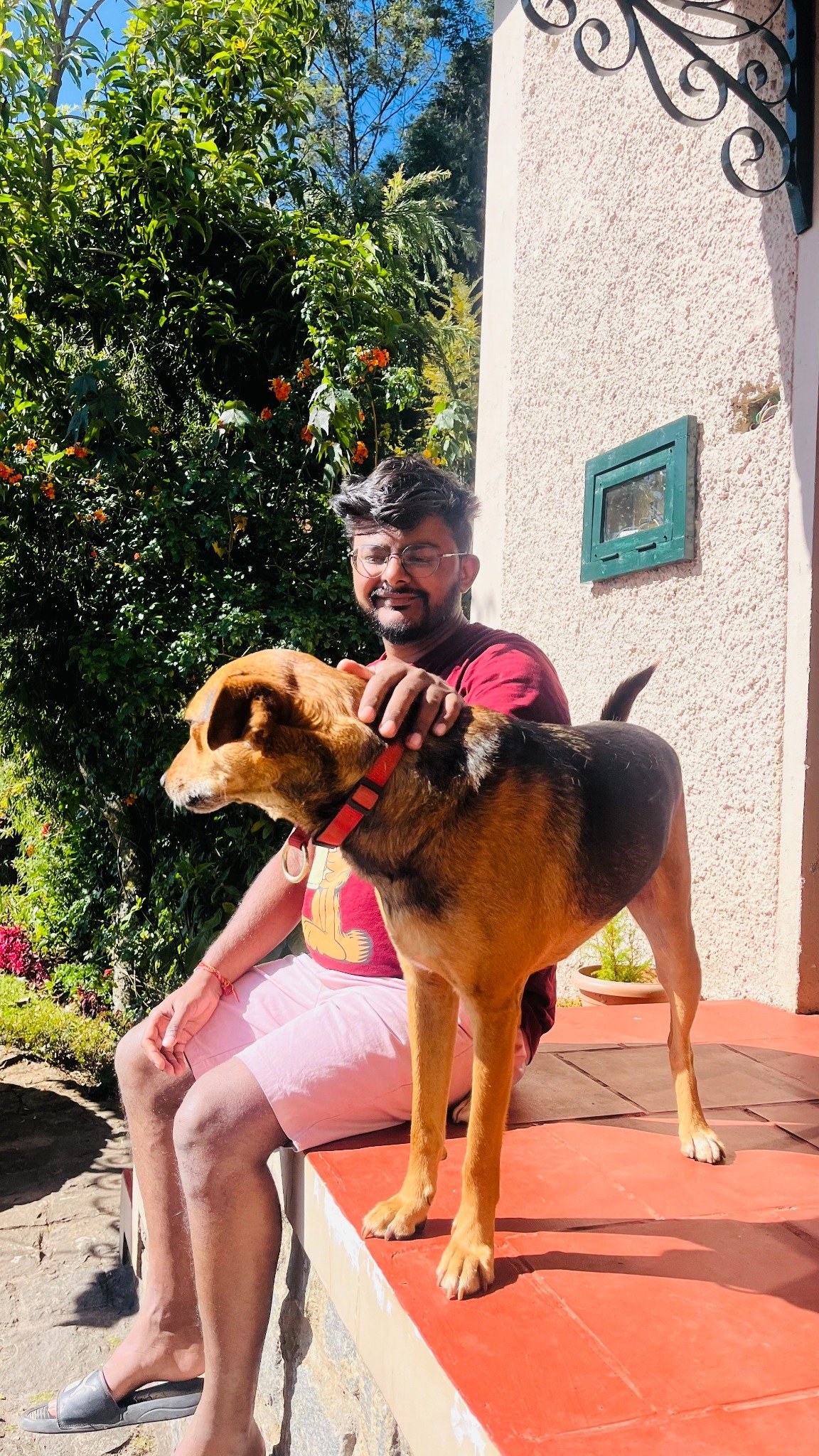 Sunny day with a dog